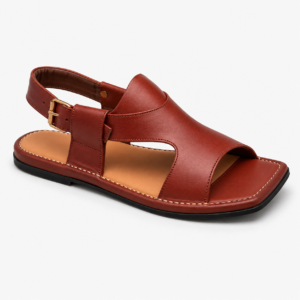 Panjedar Chappal 1.0
