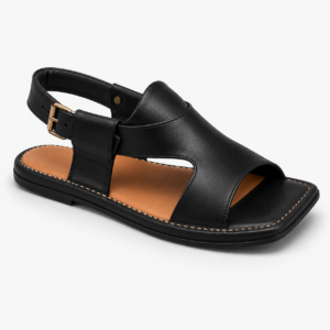 Panjedar Chappal 2.0